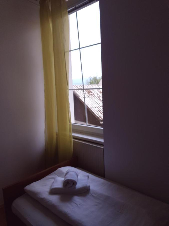 Guesthouse Osvald Zirovnica Extérieur photo