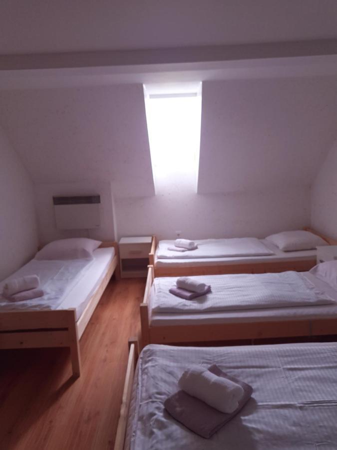 Guesthouse Osvald Zirovnica Extérieur photo
